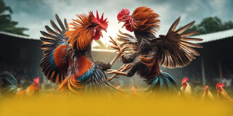 8XBET - Sân chơi cung cấp hàng trăm tựa game đẳng cấp 2026