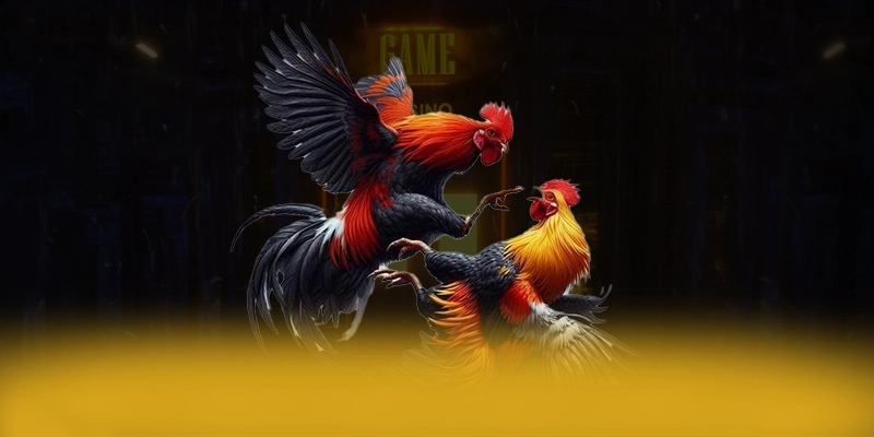 Chương trình thưởng giá trị lớn dành cho cộng đồng tại 8XBET