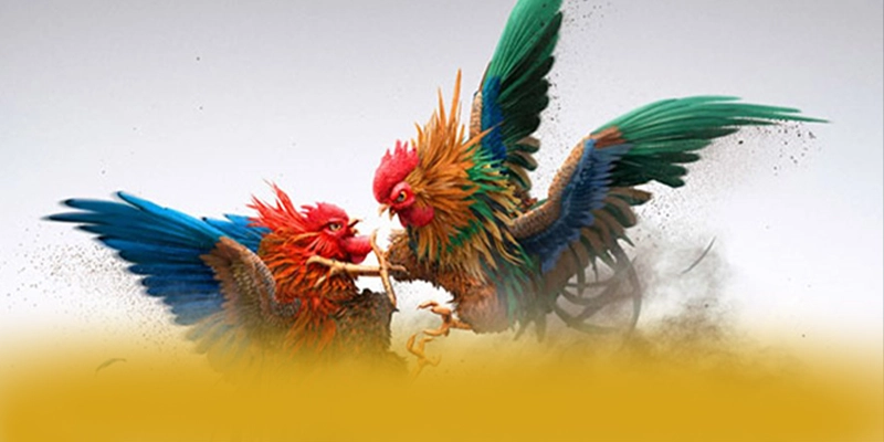 W88 - Cổng game bài ổn định 2026