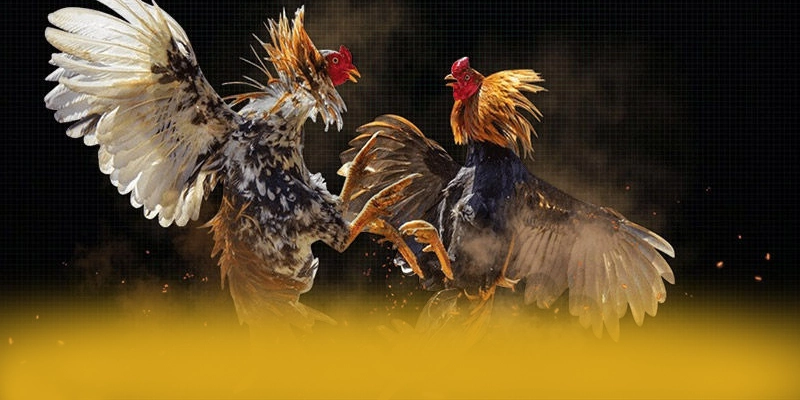Hệ thống thanh toán tiện lợi tại 8XBET