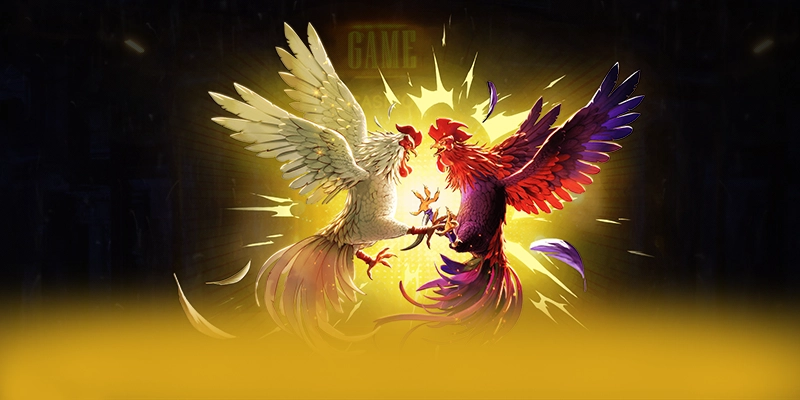 Giới thiệu 8XBET - Sân chơi hàng đầu Việt Nam hiện nay